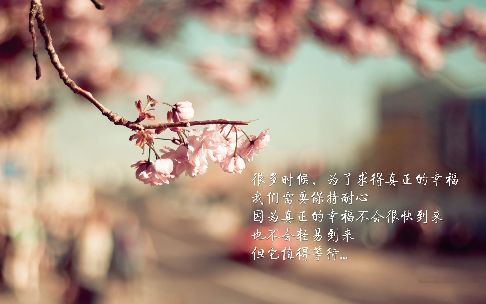 篮球职业联赛商业价值稳步攀升，篮球职业联赛是什么意思