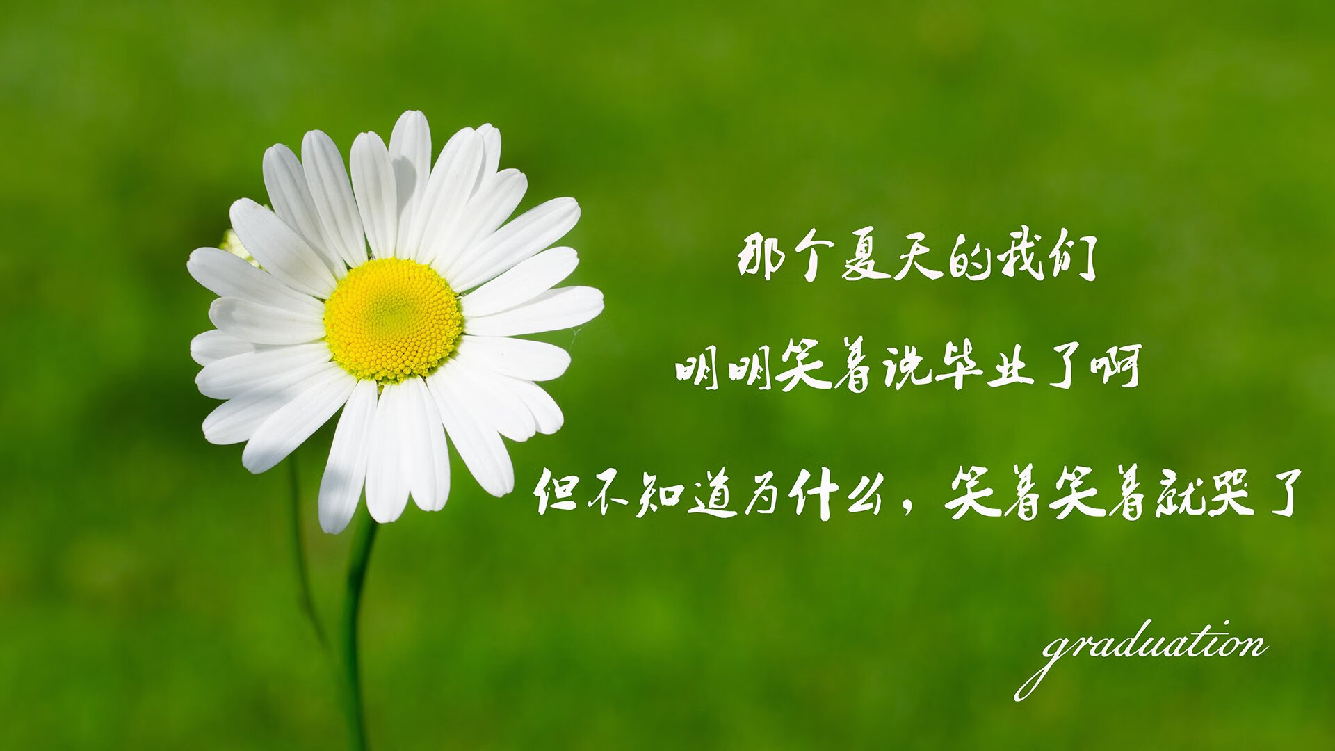 欧预赛赛程紧凑进行——各队实力对决引人关注，欧预赛 赛程