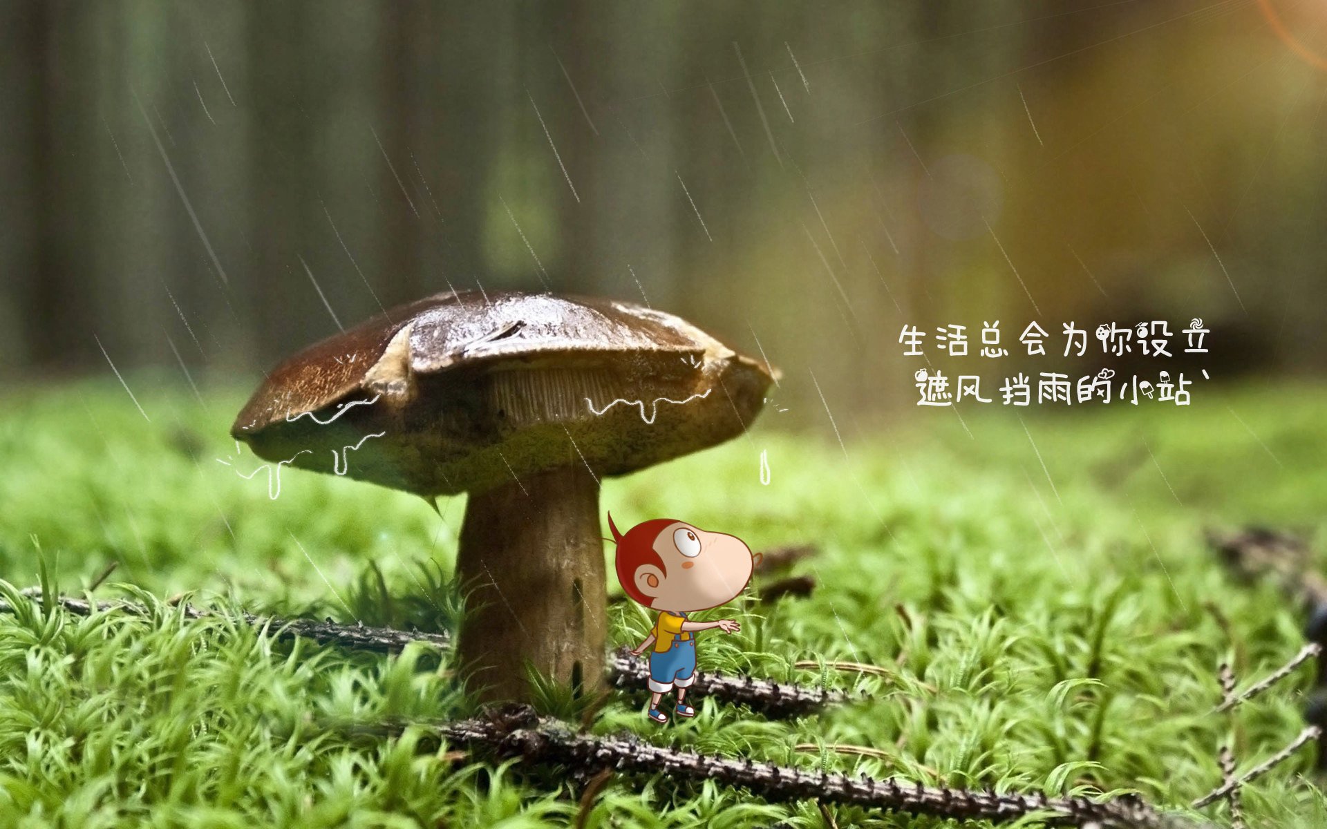 职业球员顶薪待遇是否合理反映能力差异，足球顶薪球员