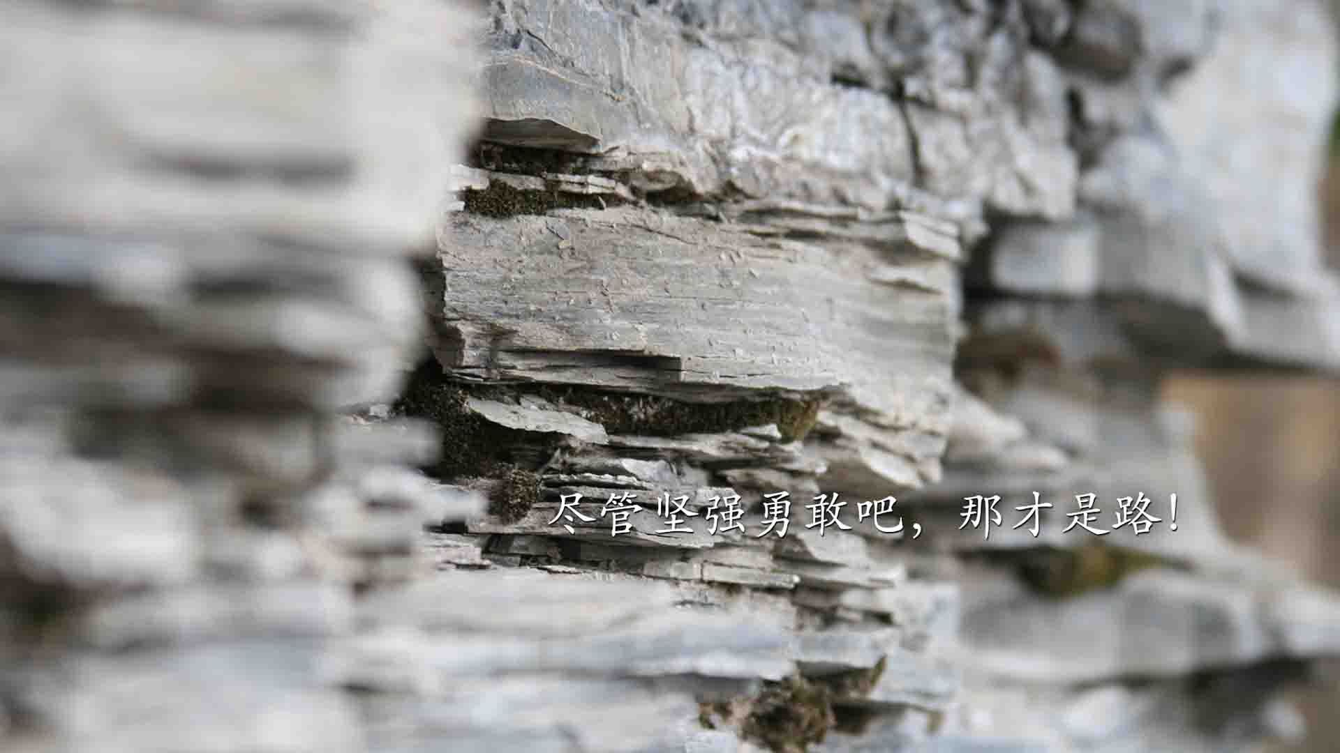 防守节奏对进攻选择的引导作用解析，防守对什么