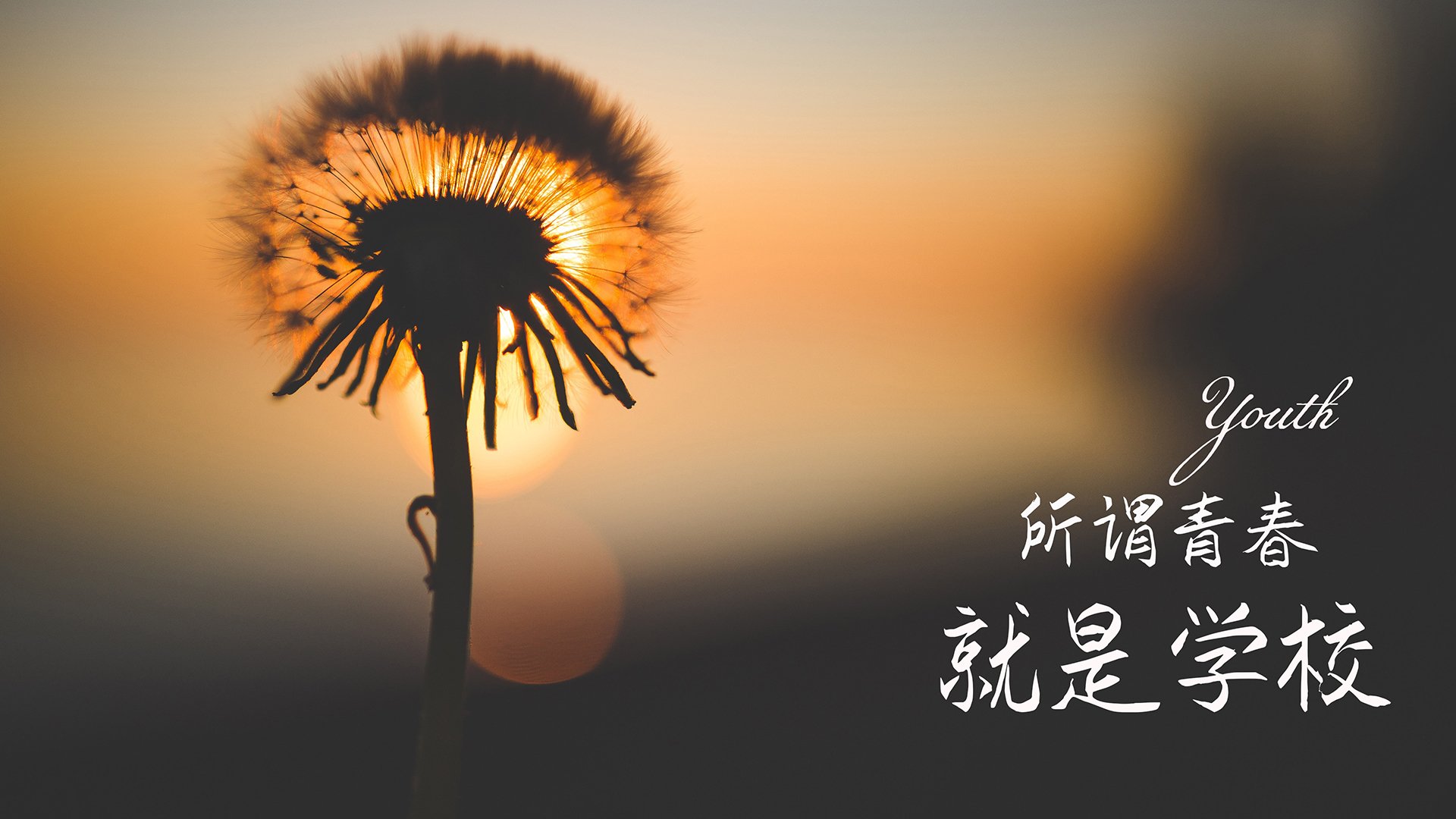 欧洲杯变阵奇兵：战术创新带来精彩瞬间！，欧洲杯阵出炉
