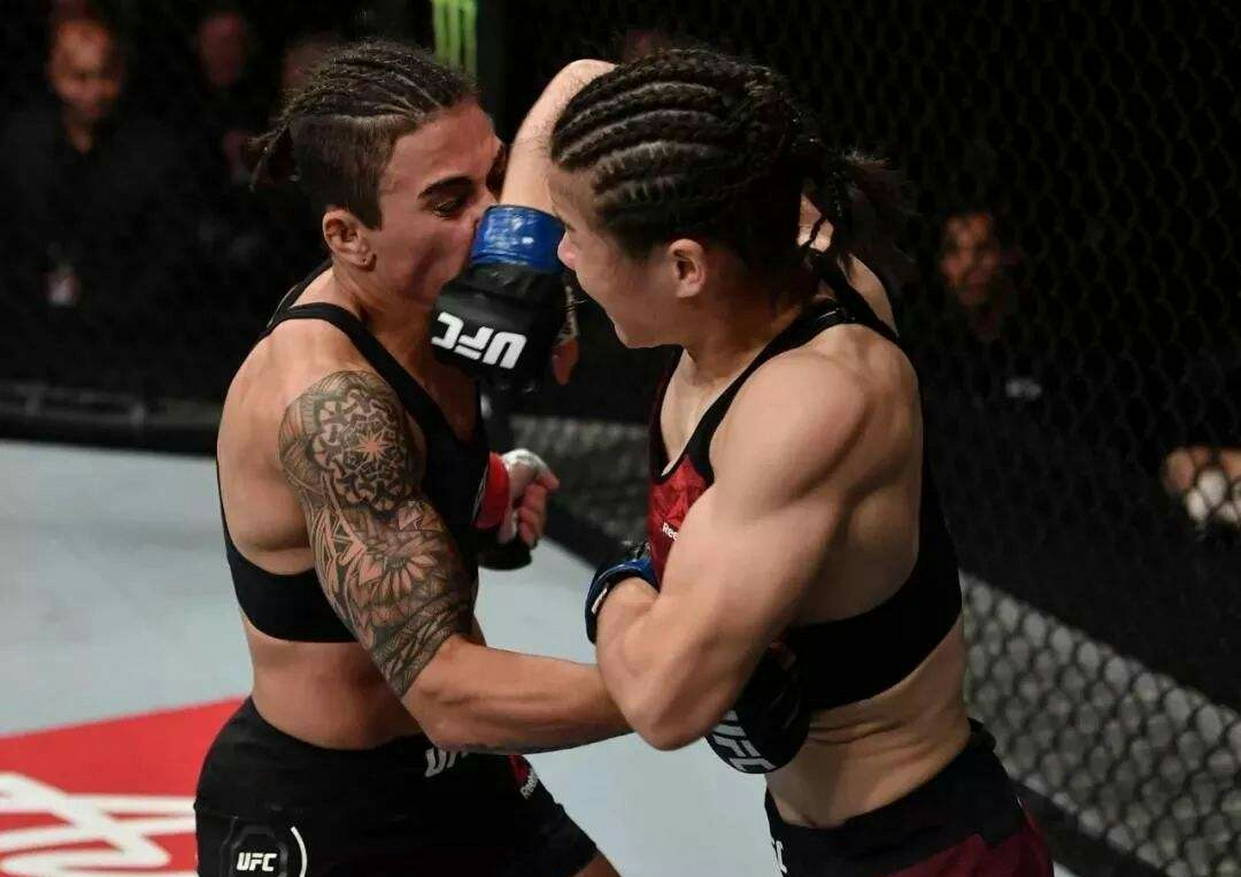 B体育:UFC终极格斗，铁笼之战血脉喷张的简单介绍